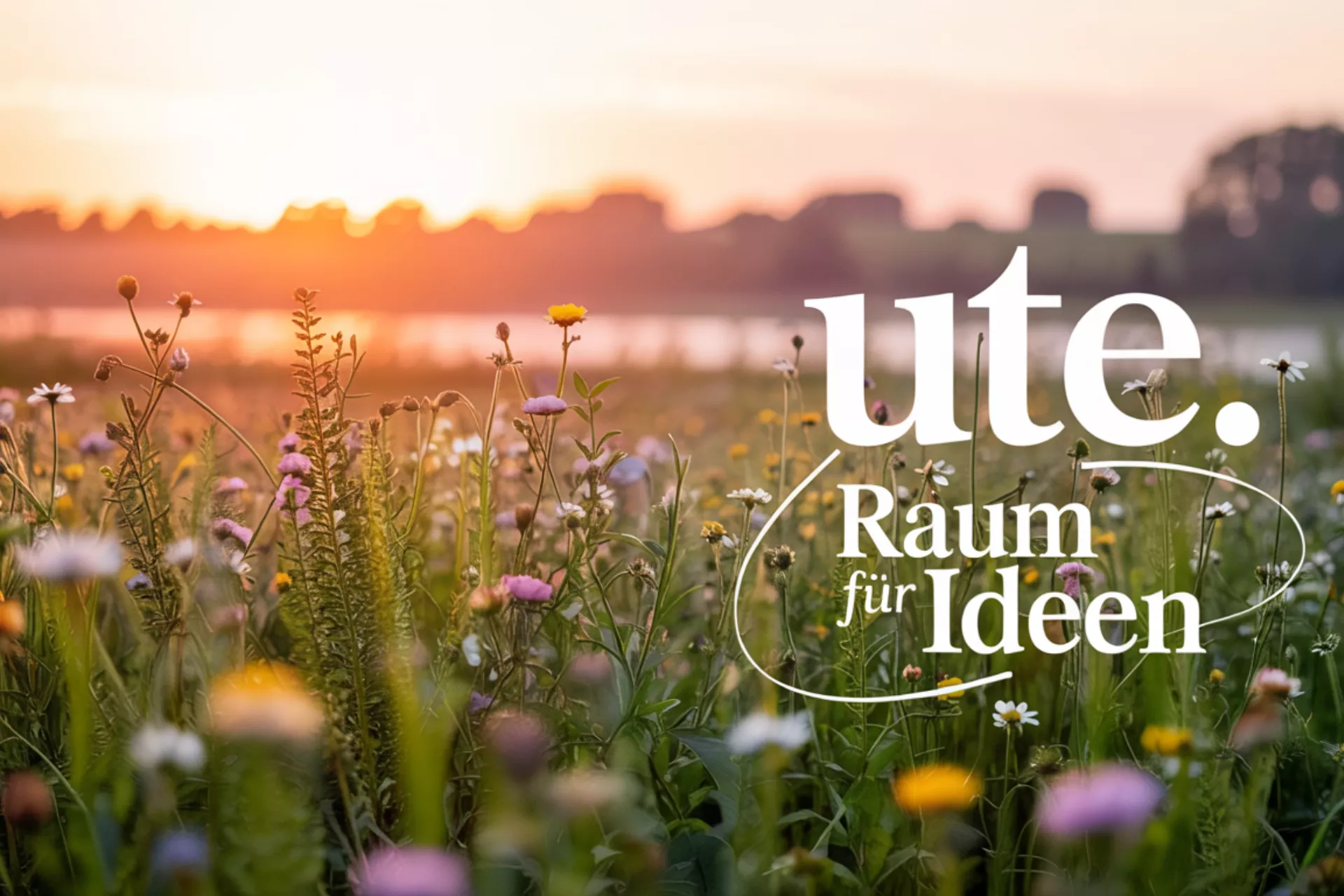 Blumenwiese im Vordergrund. Silhouette einer Stand im Hintergrund